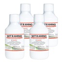 Sada vitamínov pre nosnice 4xWIT B AMINO 250ml