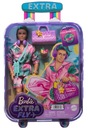 BÁBIKA BARBIE KEN EXTRA FLY BÁBIKA BEACH KEN NA CESTOVNÝCH DOPLNKÁCH