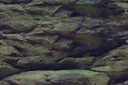 AQN ROCK/RASTS BACKGROUND XL 150x60cm