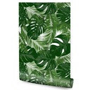 Tapeta Exotic LEAVES Monstera Plants