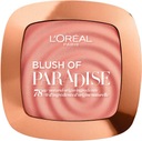 L'Oréal MELON DOLLAR Pink 03 Watermelon Addict