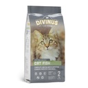 Divinus Cat Fish s tuniakom 2kg