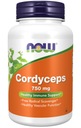 TERAZ CORDYCEPS 750MG 90K ČÍNSKY CORDYCEPS SILNÝ