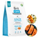 Brit Care Junior Large Salmon 3 kg (losos)