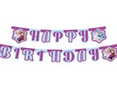 GIRLAND banner FROZEN elsa HAPPY BIRTHDAY BIRTHDAY