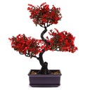 Bonsai Strom Malý bonsajový strom