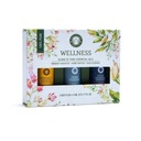 Sada esenciálnych olejov pre Wellness aromaterapiu
