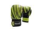 EVOLUTION SPARING BOXERSKÉ RUKAVICE 12 OZ