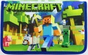 MINECRAFT PENCASE školské skladacie vzor D13