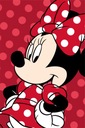 DEKA DISNEY MINNIE MOUSE 100x150 NA DETSKÚ DETSKÚ POSTEĽKU