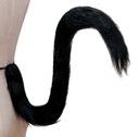 EXKLUZÍVNE CAT TAIL 80 CM COSPLAY ANIME