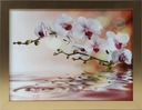 OBRAZ 35x45 ORCHID KVET KVETY ZLATÝ RÁM