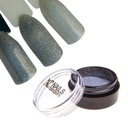 Nails Company Holo Powder č.2 holografický efekt