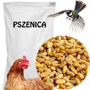 Pšeničné krmivo pre zvieratá a vtáky zrno 15kg