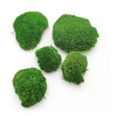 200 g Stredne zelený Premium Sweden Cushion Moss