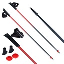 Palice na Nordic Walking Viking Pro-Trainer