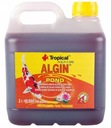 TROPICAL ALGIN POND 2l Prípravok proti riasam