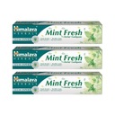 3x Himalaya Herbals Herbal Mint Fresh bylinná zubná pasta 75ml SET