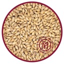 Pilsner Malt 5kg - Viking Malt Home Beer