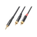 Mini Jack 3,5 mm Stereo - 2x RCA kábel samec, 6m