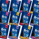 Brit Premium Mokré krmivo pre mačky Mix príchutí 24x 100g