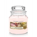 Yankee Candle Small Candle Fresh Cut Roses Darček