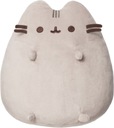 Pusheen sediaci mäkko