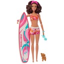 BÁBIKA BARBIE SURFERKA + DOPLNKY BRUNETKA