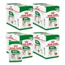 ROYAL CANIN SHN Mini Adult mokré krmivo pre psov v omáčke 48X85G