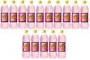 15x 850ml SCHWEPPES Nápoj z lesných plodov BAL