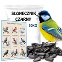 Slnečnica pre vtáky Zimné krmivo Black Seeds 10KG + DIGITÁLNY PLAKÁT