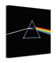 Obraz Pink Floyd Dark Side of the Moon 40x40 cm