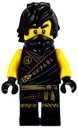 POSTAVIČKA LEGO NINJAGO - COLE Č. njo575a