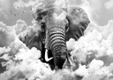 TAPETA ELEPHANT CLOUD 400x280 g-C-0087-a-c