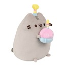 Plyšový maskot Pusheen s narodeninovým klobúkom a tortou 24 cm