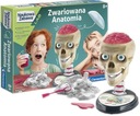 CLEMENTONI CRAZY ANATOMY LEBKA - 50697