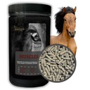 BIOFEED HORSE & PONY Doplnkové granule na svaly, krmivo pre kone 1kg