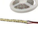 STRIP 1200 LED 2835 IP20 1m studená biela 240/1m MAX.