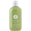 KEMON Liding Energy Shampoo 250ml