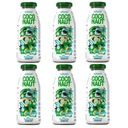 Voda z mladého kokosu COCONAUT HoReCa 6x 250 ml