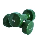 FITNESS INSPORTLINE Činky 2x3kg VINYLOVÝ NÁTER