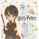 HARRY POTTER obrúsky čarodejník HEDWIGA stolová dekorácia NARODENINY 33 cm x20