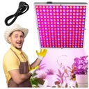 LAMPA NA RAST RASTLÍN NA OSVETLENIE PANEL NA RAST KVETIEK LED LAMPA GROW LIGHT