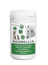 DROMY BOSWELLIA SERRATA 750g skvelé jazierka pre kone