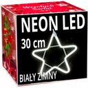 NEON STAR LED 30 cm OBOJSTRANNÉ okno Osvetlenie vianočného stromčeka trvalé svetlo