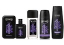 STR8 GAME SET 4ks EDT50ml + DNS85ml + SPREJ150ml + GEL400ml