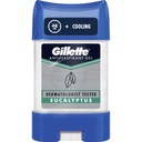 GILLETTE EUCALYPTUS GEL - GEL STICK 75ml