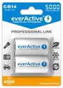 2x BATÉRIE EVERACTIVE R14 C 5000mAh