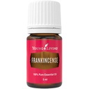 * FRANKINCENSE * Young Living 5 ml - kadidlo