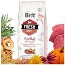 BRIT FRESH BEEF PUPPY LARGE 12KG - prémiové krmivo pre šteňatá veľkých plemien